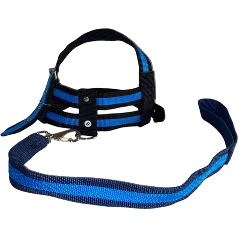 Coleira Peitoral Ajustável com Guia para Pet:azul/p