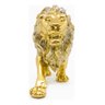 Kit Leão Estatueta Escultura Decoração Sala Escritório Animal Enfeite Decorativo - Kit 2 Peças Doura - 17