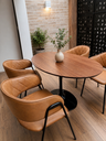 Ver imagem 4 de Mesa de Jantar Saarinen Oval 120x80cm - Pau-Ferro