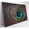 Quadro Penas De Pavão 60x40 Cm Vidro Impresso - 5