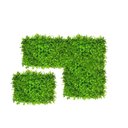 Ver imagem 1 de Kit 20 Placas de Eucalipto 40 X 60cm Muro Inglês Jardim Vertical