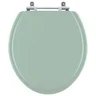 Assento Sanitário Poliester Azaléa Verde Para Louça Celite - 1