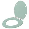 Assento Sanitário Poliester Azaléa Verde Para Louça Celite - 2