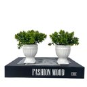 Ver imagem 1 de Decoração sala livro fake + dupla vaso branco taça athenas