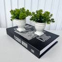 Ver imagem 3 de Decoração sala livro fake + dupla vaso branco taça athenas