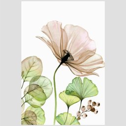 Quadro Flores Do Campo V Tela Moldura Bege 45X30Cm - 2