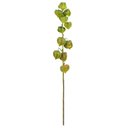 Ver imagem 1 de Haste Physalis Verde Toque Real 75 Cm | Flor Artificial Formosinha