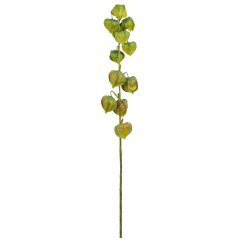 Haste Physalis Verde Toque Real 75 Cm | Flor Artificial Formosinha