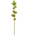 Ver imagem 1 de Haste Physalis Verde Toque Real 75 Cm | Flor Artificial Formosinha