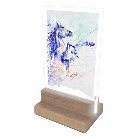 Abajur e Luminária Decorativa Cavalo 8