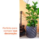 Ver imagem 4 de Vaso Maragogi Grafite 30 Terrano