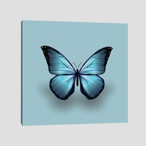 Quadro Borboleta Azul Tela No Chassi 40X40Cm