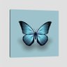 Quadro Borboleta Azul Tela No Chassi 40X40Cm - 1