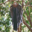 Ver imagem 2 de Caveira Zumbi Linconcom Roupa Preto 61cm