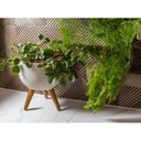 Ver imagem 2 de Vaso Redondo 39cm Decore Japi