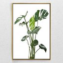 Ver imagem 2 de Quadro Decorativo Costela de Adão Tela Vertical Com Moldura e Sem Vidro 80X120