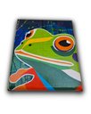 Ver imagem 6 de Quadro Figurativo Decorativo em Acrílico Pintado a Mão de Sapinho Colorido em Fundo Abstrato
