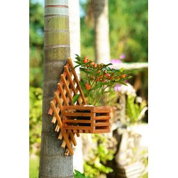 Jardim Vertical Losango Vaso Quadrado - 2