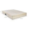 Cama Box King + Colchão Portobel De Mola Arezzo Gold Light - 5
