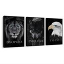 Ver imagem 7 de Kit 3 Quadros Disciplina Execução Foco Motivação Moldura:preta