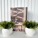 Ver imagem 2 de Decoração 3 Peças Livro Porta Objetos e Dupla Vaso Branco