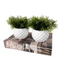 Ver imagem 1 de Decoração 3 Peças Livro Porta Objetos e Dupla Vaso Branco
