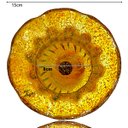 Ver imagem 4 de Vaso De Mesa Cristal Murano 21cm Âmbar e Dourado Tiger Glass