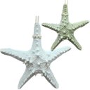 Ver imagem 2 de Enfeites Estrelas Mar Branca e Verde Casa Praia Mar Kit 2pçs