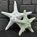 Ver imagem 1 de Enfeites Estrelas Mar Branca e Verde Casa Praia Mar Kit 2pçs