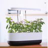 Horta Inteligente de hortaliças em cultivo hidropônico com iluminação LED para apartamento - 7