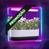Horta Inteligente de hortaliças em cultivo hidropônico com iluminação LED para apartamento - 1