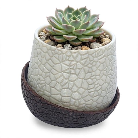 Vaso Vasinho Decorativo 3D Suculentas Moderno Cacto Cachepot - Vaso com Base