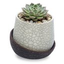 Ver imagem 1 de Vaso Vasinho Decorativo 3D Suculentas Moderno Cacto Cachepot - Vaso com Base