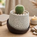 Ver imagem 3 de Vaso Vasinho Decorativo 3D Suculentas Moderno Cacto Cachepot - Vaso com Base