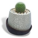 Ver imagem 6 de Vaso Vasinho Decorativo 3D Suculentas Moderno Cacto Cachepot - Vaso com Base
