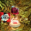 Ver mais imagens de Luminária Love a Rosa Encantada Vermelha 28 Cm Presente para Namorada Presente de Natal Presente Dia
