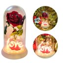 Ver imagem 3 de Luminária Love a Rosa Encantada Vermelha 28 Cm Presente para Namorada Presente de Natal Presente Dia