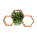 Ver imagem 2 de Nicho Colmeia Amazônia