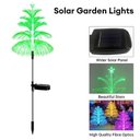 Ver imagem 1 de Luz Solar Decorativa de Jardim Modelo:(c) (1 Pç) Fibra Óptica Água-viva 7 Cores Ip65 Oem