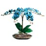 Arranjo Flores 4 Orquídeas Azul Toque Real Vaso Grande - 1