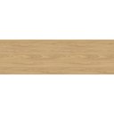 Ver imagem 1 de Fita de Borda Pvc Madeiras do Brasil Freijó Guararapes 22x0,45mm Rolo 20m Rehau