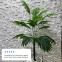 Ver imagem 3 de Kit 2 Coqueiro Anão Artificial Palmeira sem Vaso Decoração