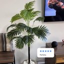 Ver imagem 4 de Kit 2 Coqueiro Anão Artificial Palmeira sem Vaso Decoração