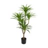 Árvore Artificial Dracena Toque Real | Formosinha - 1