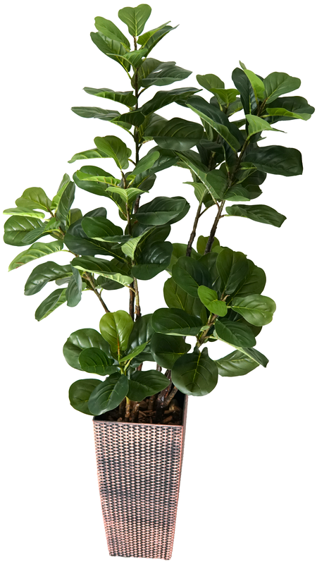 Arvore Planta Artificial Folhagem Ficus Lyrata 150cm Premium - 1