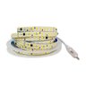 Fita de Led Dupla 240 Leds 3000k 11mm 20w/m com 10m com Plugue para Tomada 220v Zig - 3