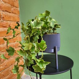 Conjunto de vasos Linhas M - com pratinho e tripé - Cinza Chumbo - 3