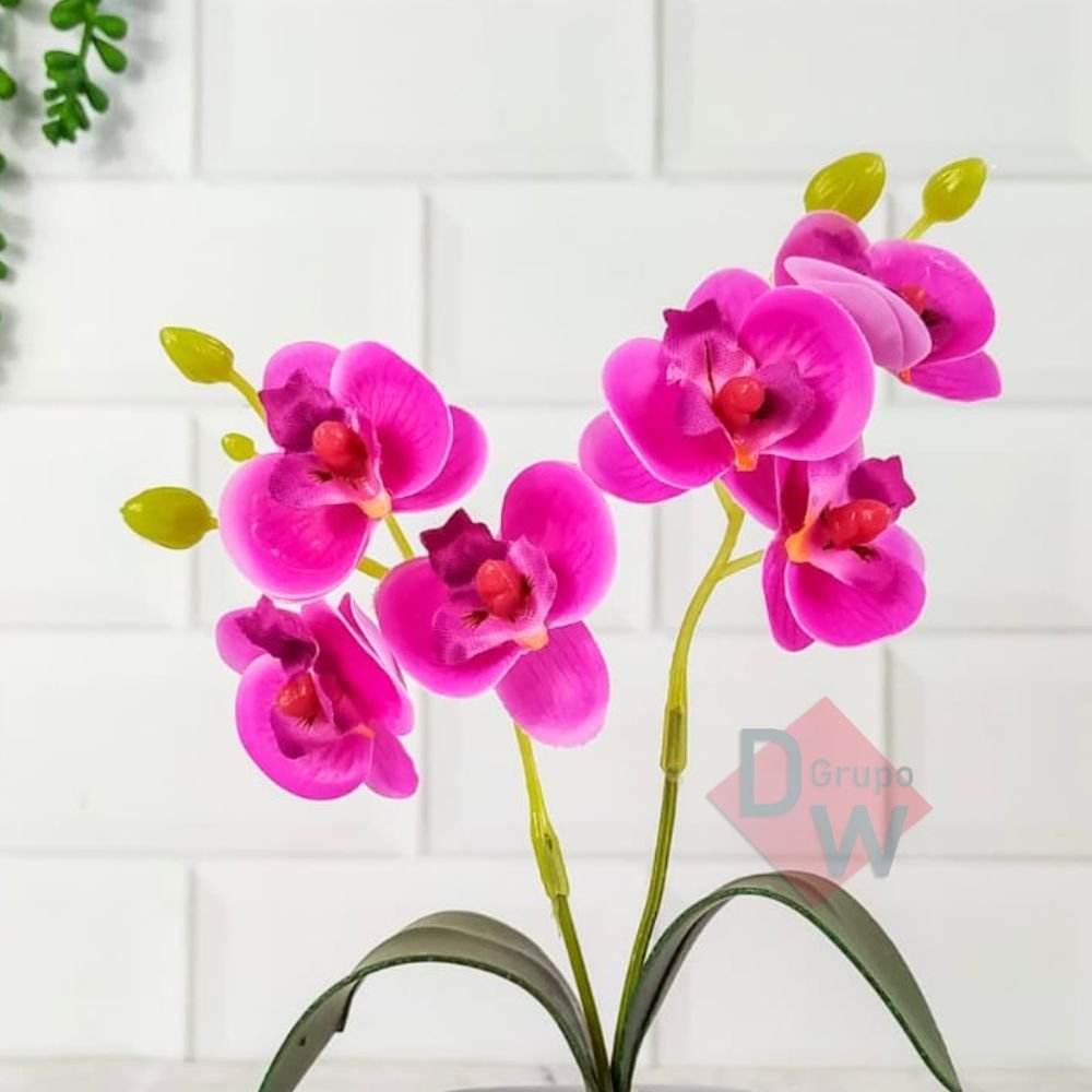 Mini Orquidea:Orquídea Rosa - 3