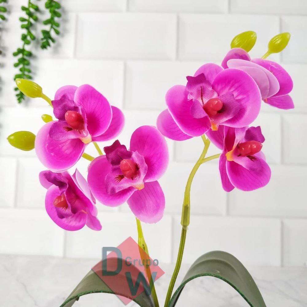 Mini Orquidea:Orquídea Rosa - 4