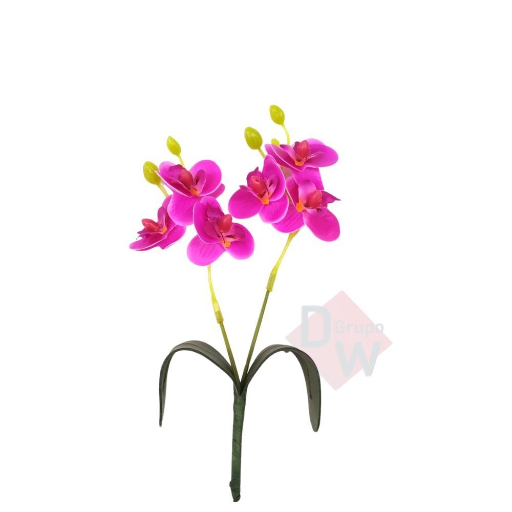 Mini Orquidea:Orquídea Rosa